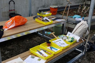 OK WEB Aktionstag 2023 GERAETE