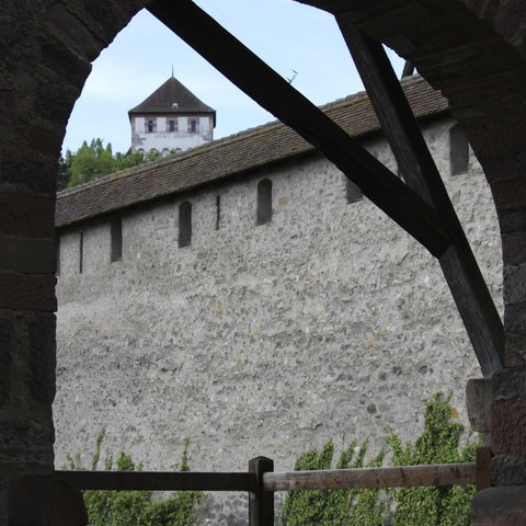 Stadtmauer Letzi mit St. Alban Tor im Hintergrund - Foto von Franz König. Vergrösserte Ansicht