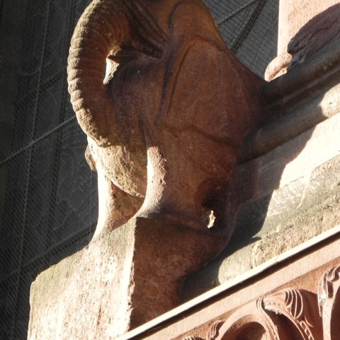 Münster Elefant - Foto von Franz König. Vergrösserte Ansicht