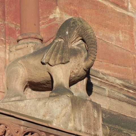 Münster Elefant 2 - Foto von Franz König. Vergrösserte Ansicht