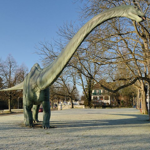 Bruderholz - Dinosaurier «Batterieosaurus» auf dem Bruderholz Foto von Franz König. Vergrösserte Ansicht