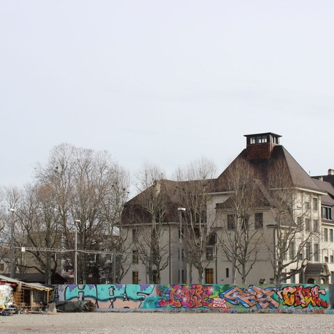 Blick von der Uferstrasse aufs Inselschulhaus - Foto von Franz König. Vergrösserte Ansicht